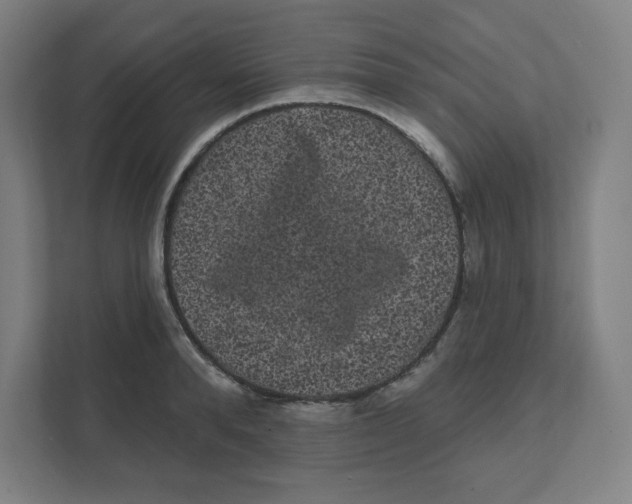 X0000111460896200908101052