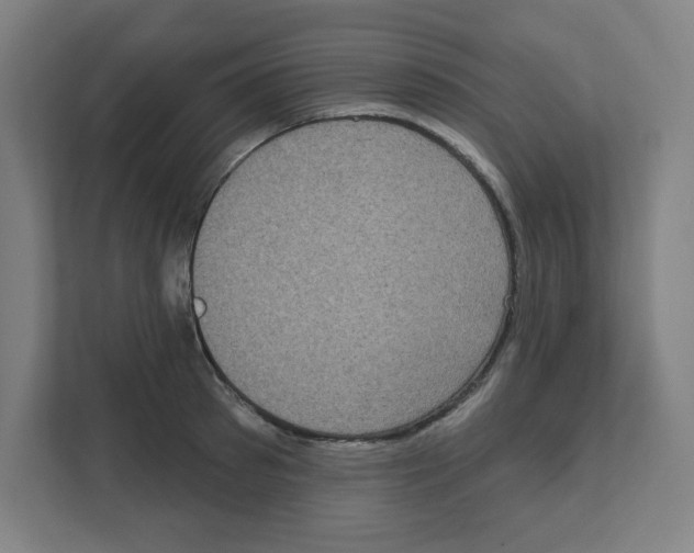 X0000111460897200908101052