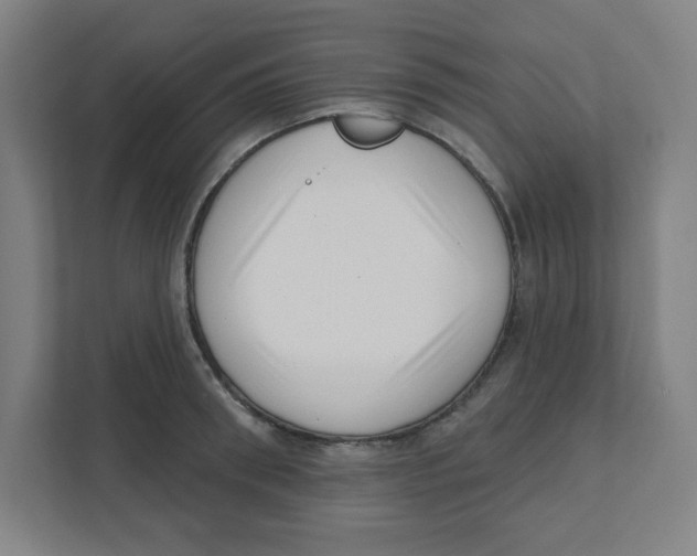X0000111460898200908101052