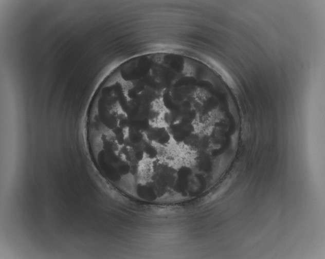 X0000111460899200908101052