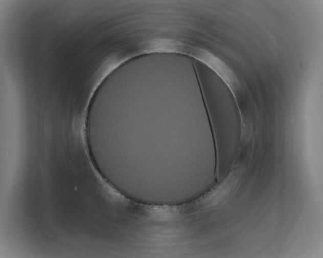 X0000111460901200908101052