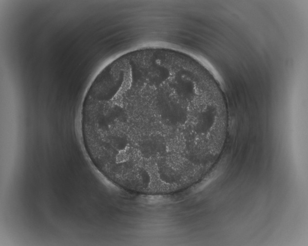 X0000111460903200908101052