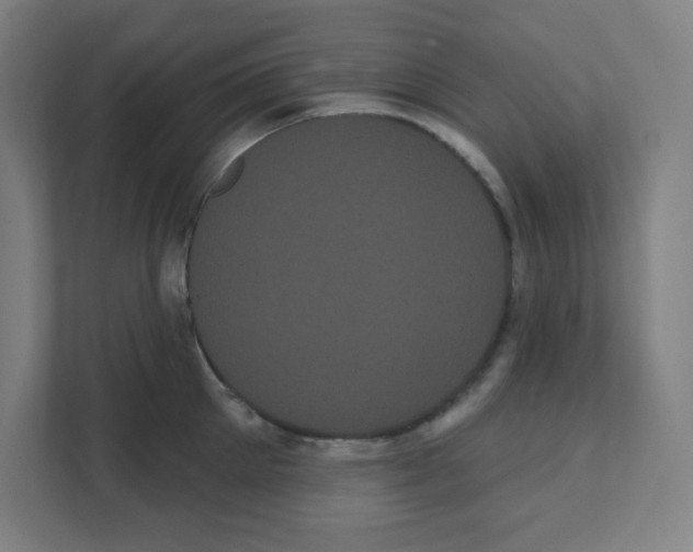 X0000111460905200908101052