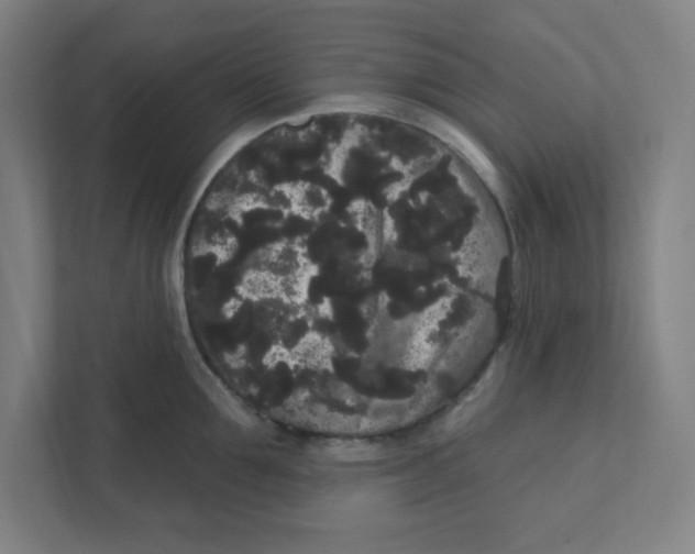 X0000111460907200908101052