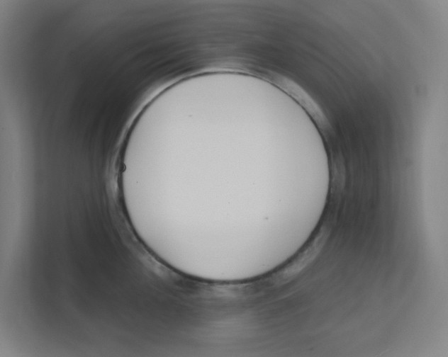 X0000111460908200908101052