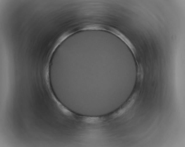 X0000111460909200908101052