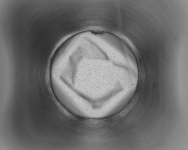 X0000111460910200908101052