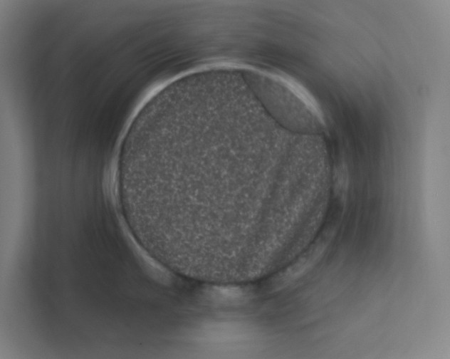 X0000111460911200908101052