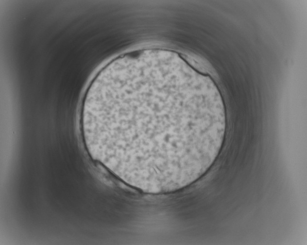 X0000111460912200908101052