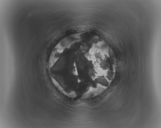 X0000111460913200908101051