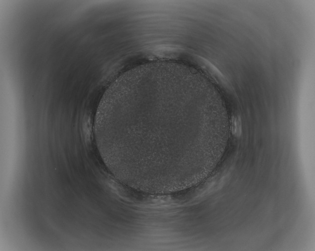 X0000111460915200908101051