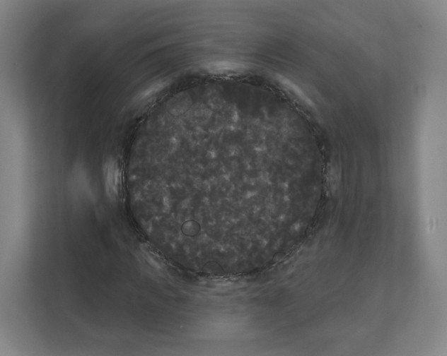 X0000111460917200908101051