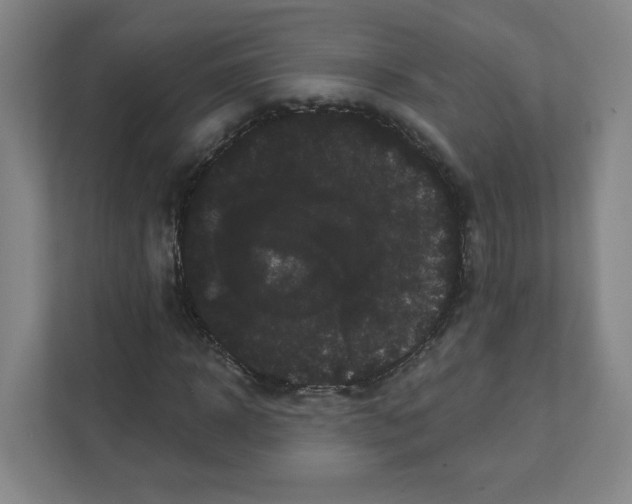 X0000111460918200908101051