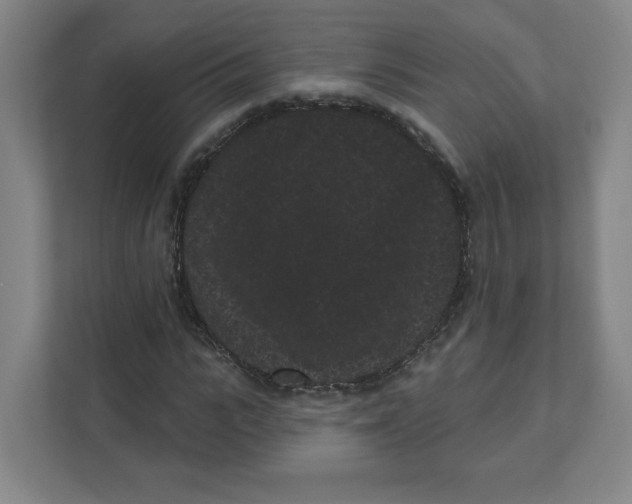 X0000111460919200908101051