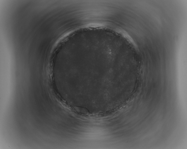 X0000111460920200908101051
