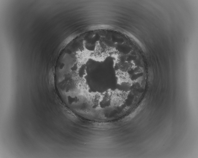 X0000111460921200908101051