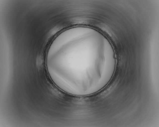 X0000111460922200908101051