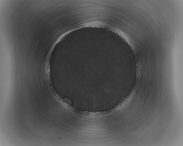 X0000111460923200908101051