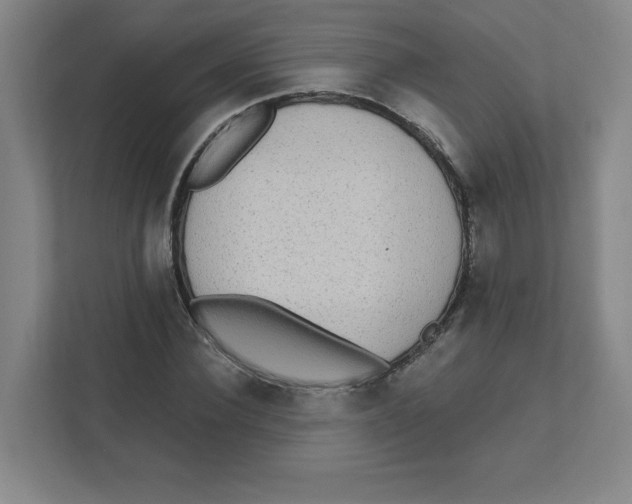 X0000111460924200908101051