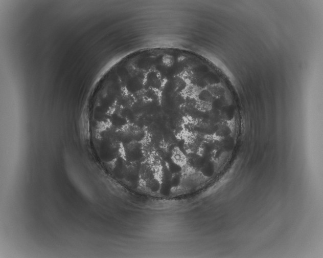 X0000111460925200908101051