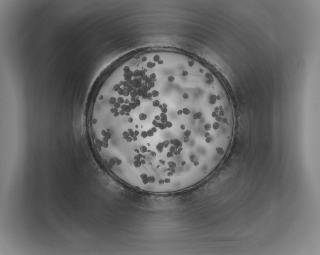 X0000111460928200908101051