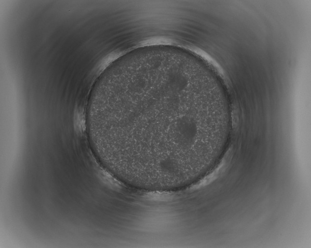 X0000111460929200908101051