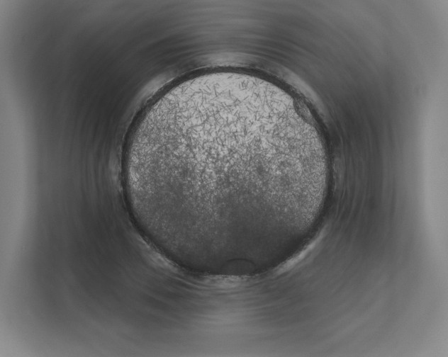 X0000111460930200908101051