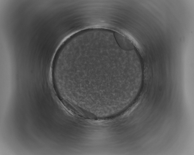 X0000111460932200908101051