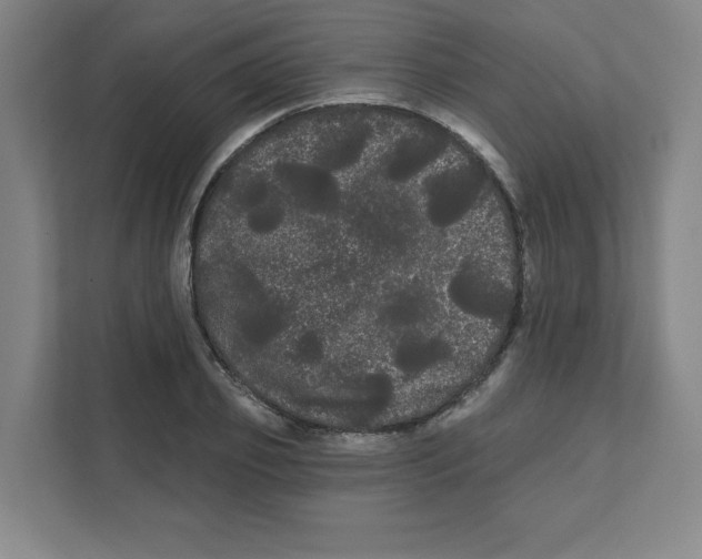 X0000111460933200908101051