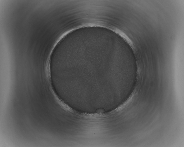 X0000111460934200908101051
