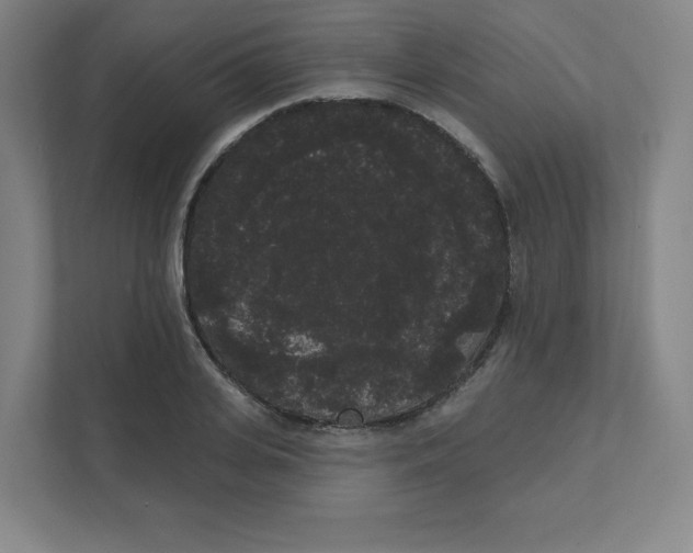 X0000111460935200908101051