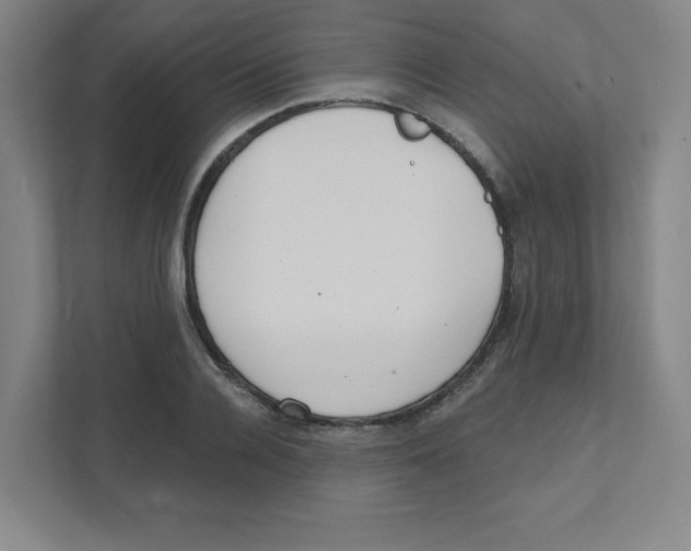 X0000111460936200908101051
