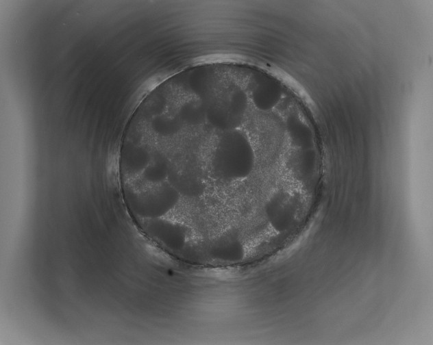 X0000111460937200908101052