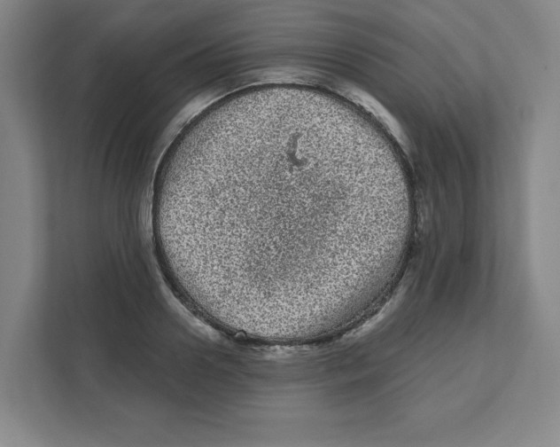 X0000111460938200908101052