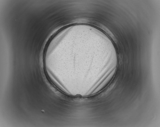 X0000111460939200908101052
