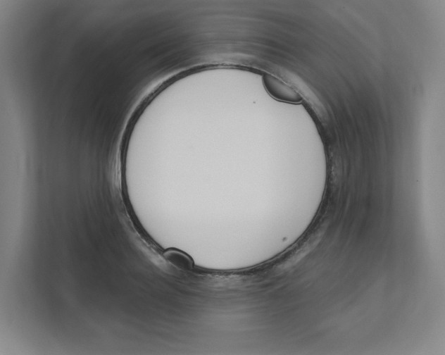 X0000111460940200908101052