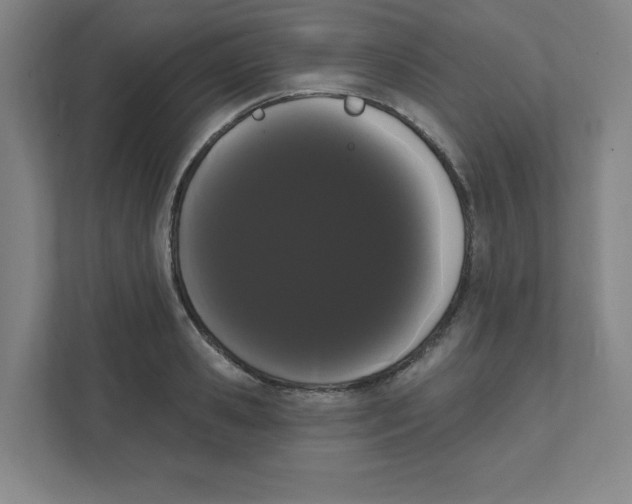 X0000111460941200908101052