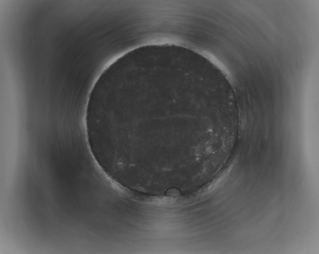 X0000111460943200908101052