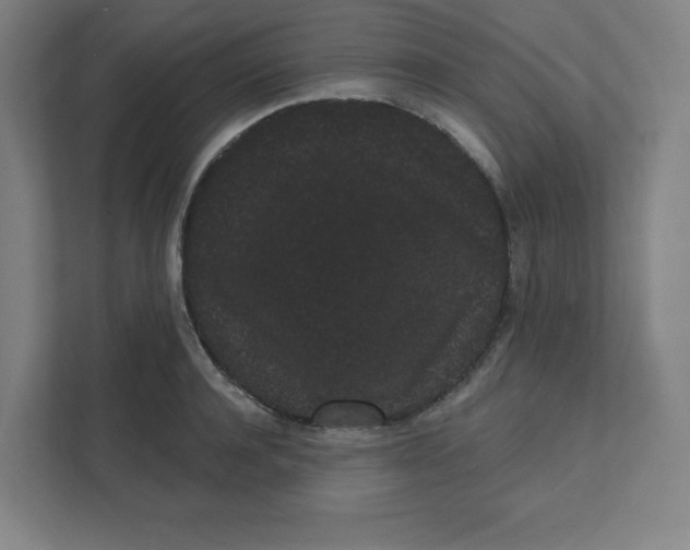 X0000111460944200908101052