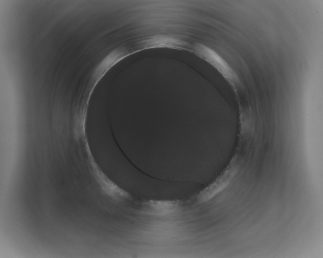 X0000111460946200908101052