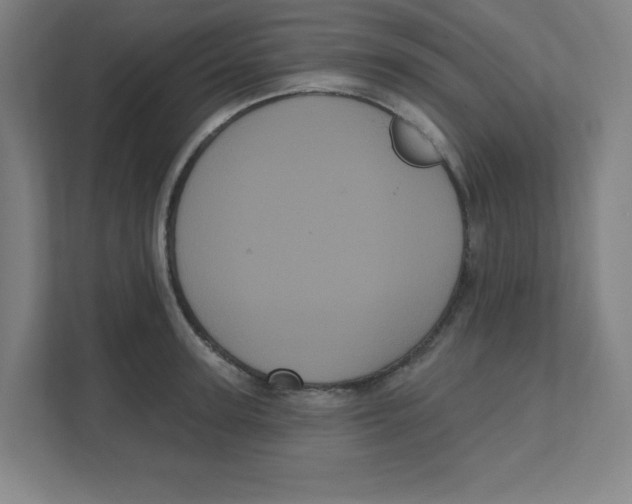 X0000111460947200908101052