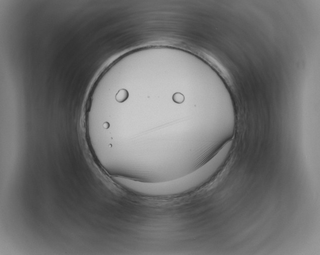 X0000111460948200908101052
