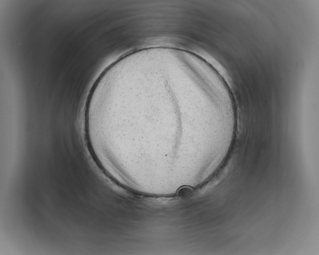X0000111460949200908101052
