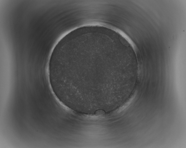 X0000111460951200908101052