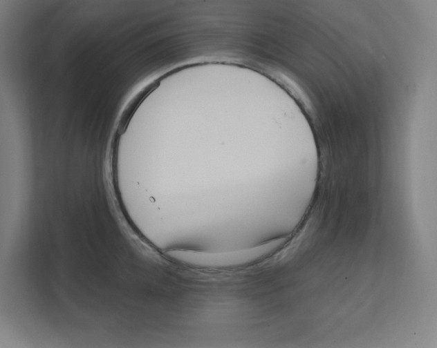 X0000111460952200908101052