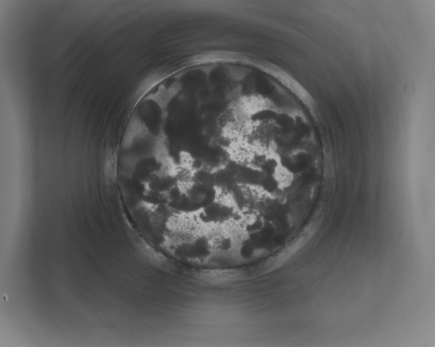 X0000111460953200908101052
