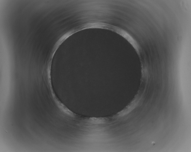 X0000111460954200908101052