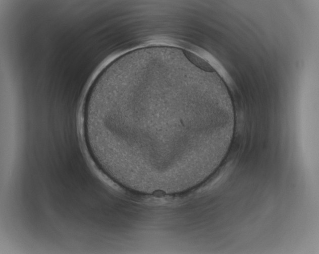 X0000111460955200908101052
