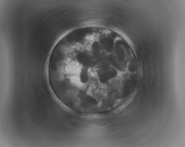 X0000111460957200908101052