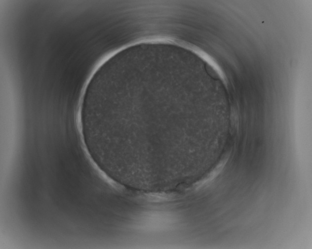 X0000111460959200908101052